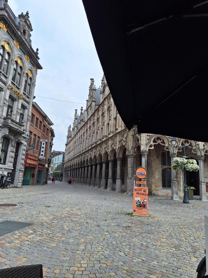 Huis Alna 4 Mechelen Zewnętrze zdjęcie